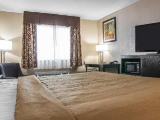 Cutlerville Quality Inn Grand Rapids South-Byron Center חדר תמונה